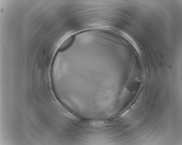 X0000065971291200603172041