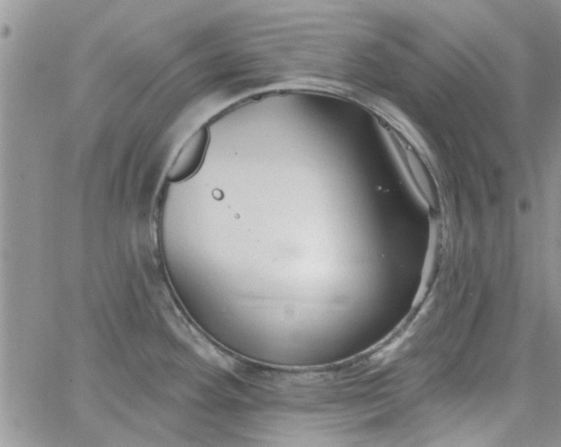 X0000065971292200603172041