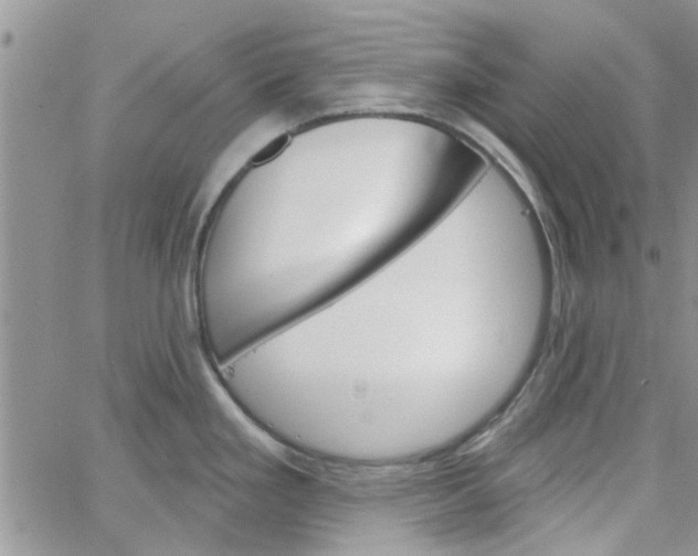 X0000065971293200603172041