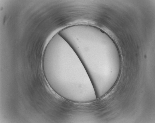 X0000065971296200603172041