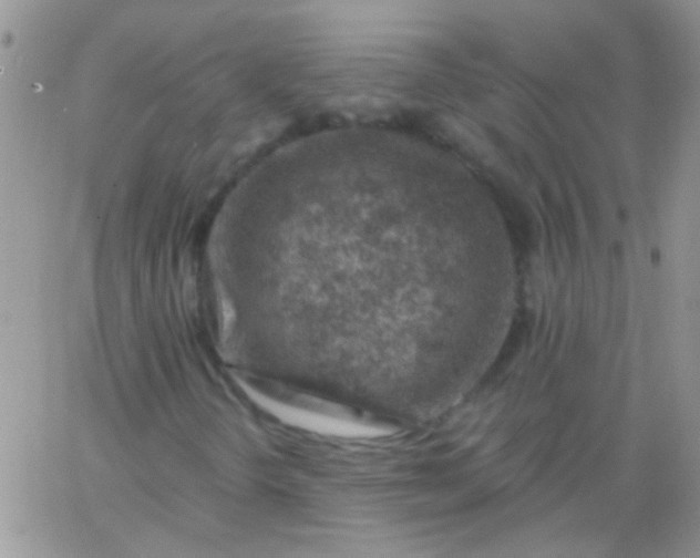 X0000065971298200603172040