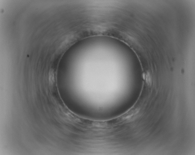 X0000065971299200603172040