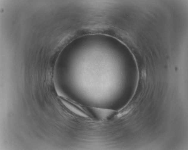 X0000065971300200603172040