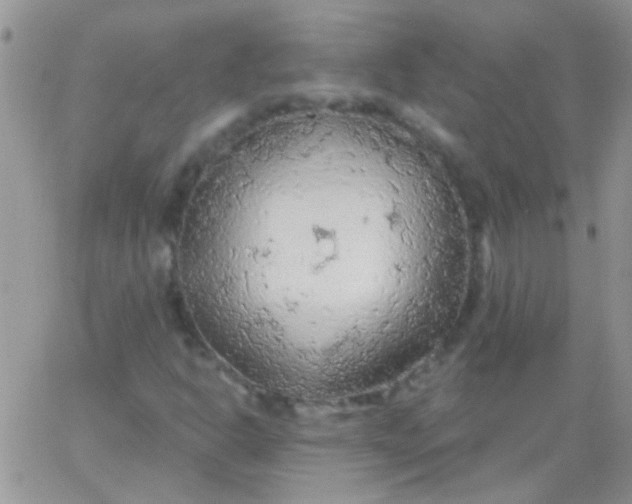 X0000065971302200603172040