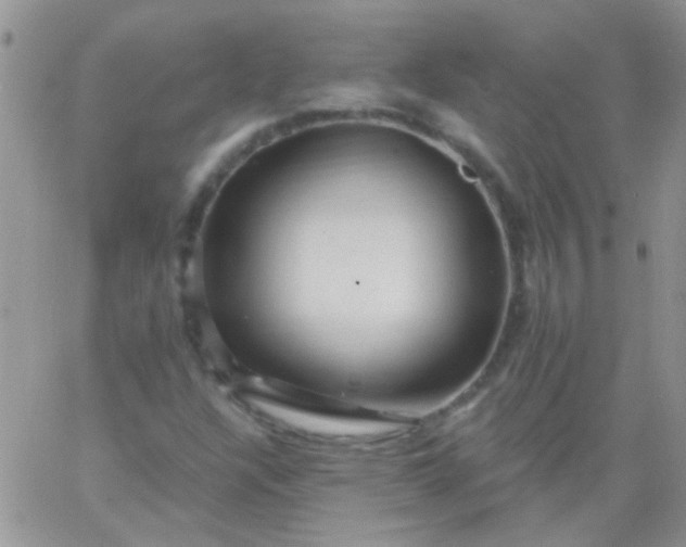 X0000065971304200603172040