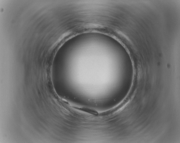 X0000065971305200603172040