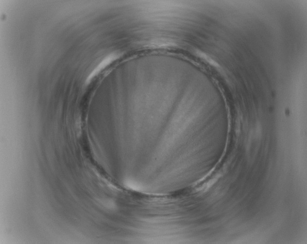 X0000065971306200603172040