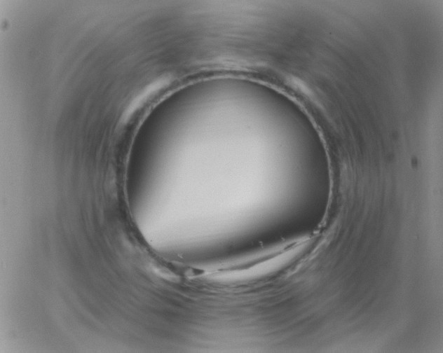 X0000065971307200603172040