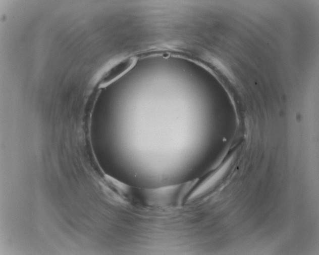 X0000065971308200603172040