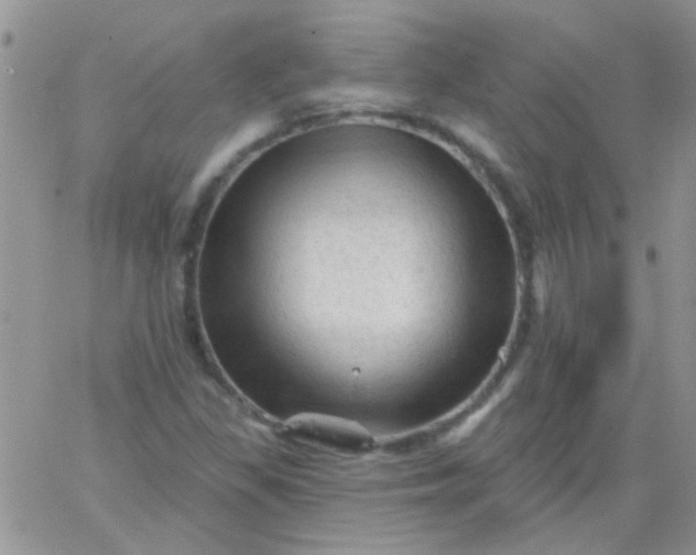 X0000065971309200603172040