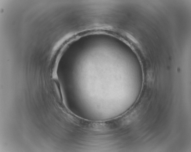 X0000065971310200603172040