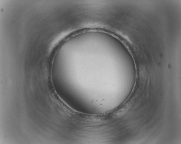 X0000065971311200603172040