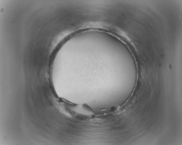 X0000065971312200603172040