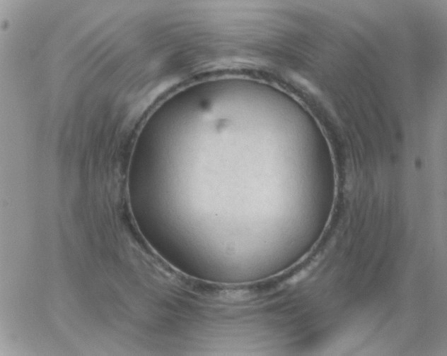 X0000065971313200603172040