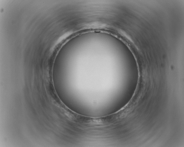 X0000065971315200603172040