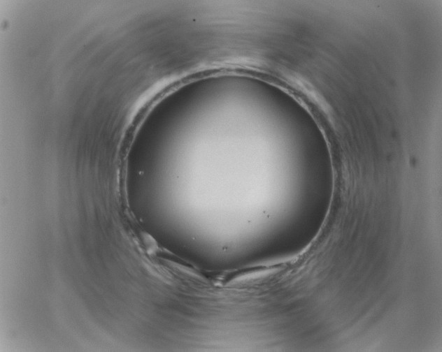 X0000065971316200603172040