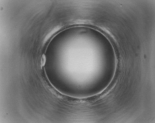 X0000065971317200603172040