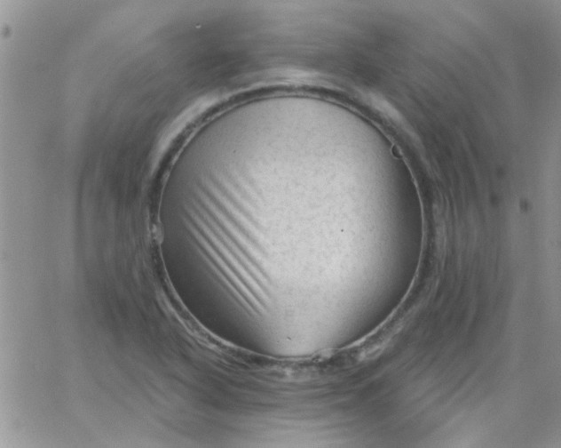 X0000065971318200603172040