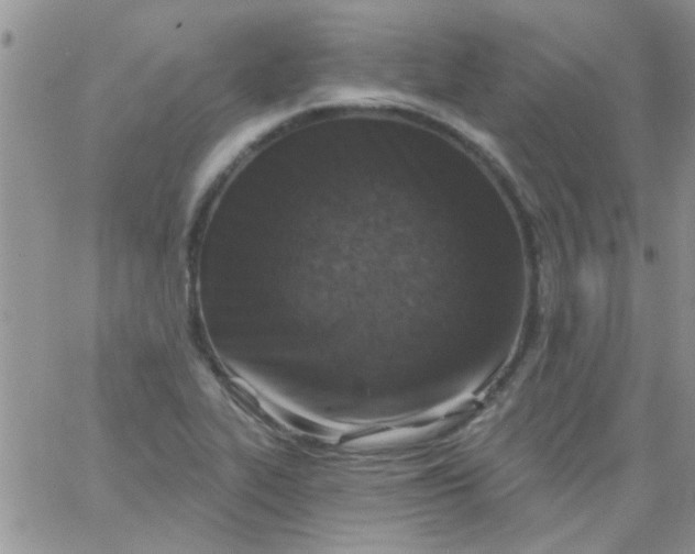 X0000065971319200603172040