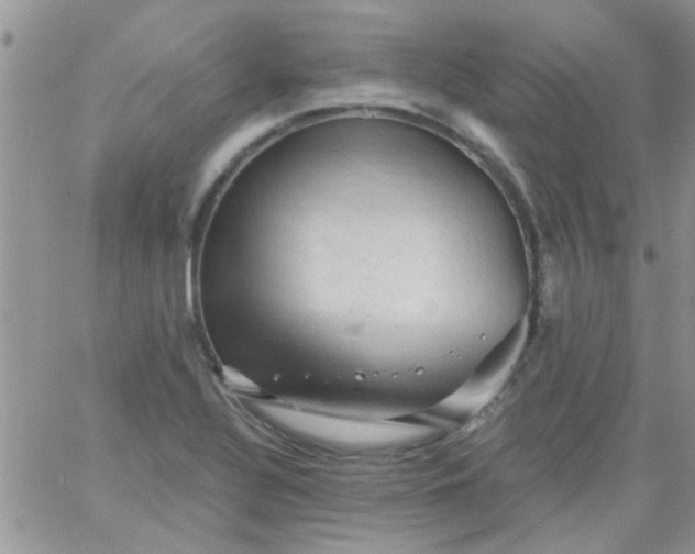 X0000065971320200603172040