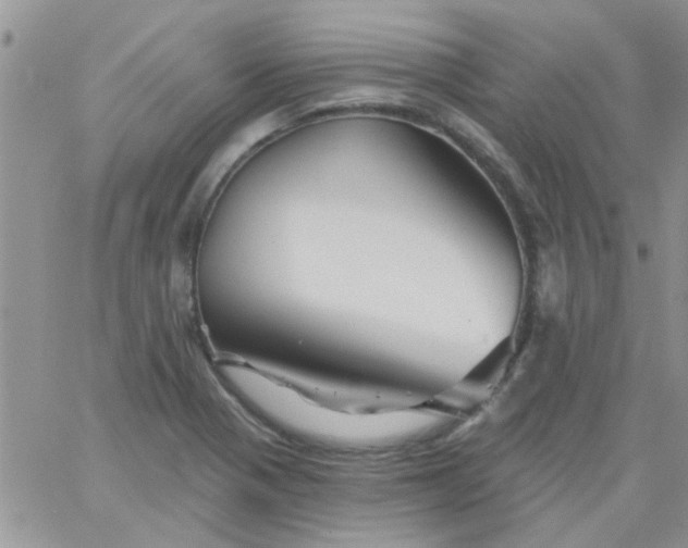 X0000065971321200603172040