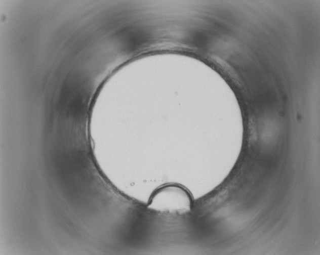 X0000065971322200603172040