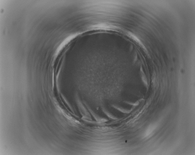 X0000065971323200603172040