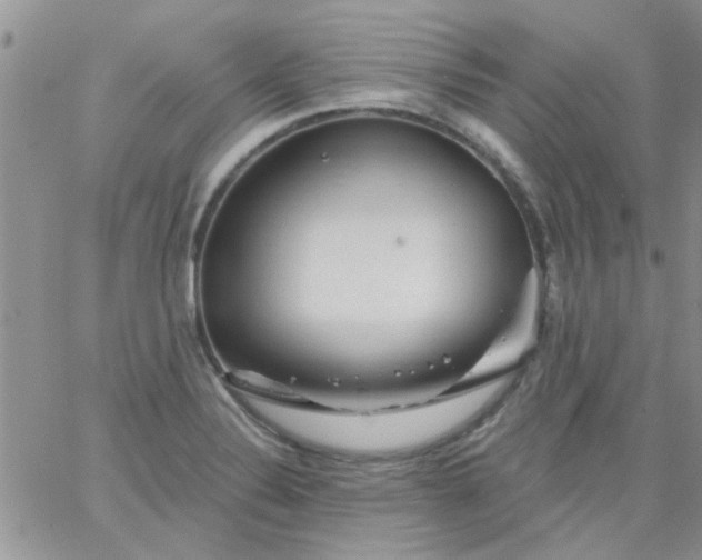 X0000065971324200603172040