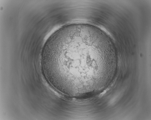 X0000065971325200603172040