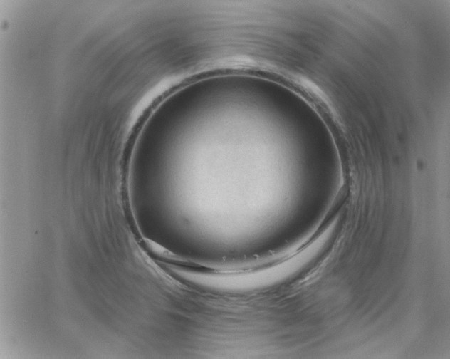 X0000065971326200603172040