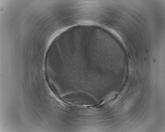 X0000065971327200603172040