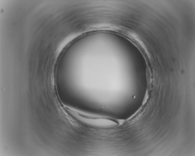 X0000065971328200603172040