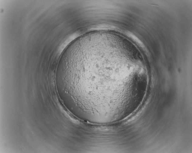 X0000065971329200603172040