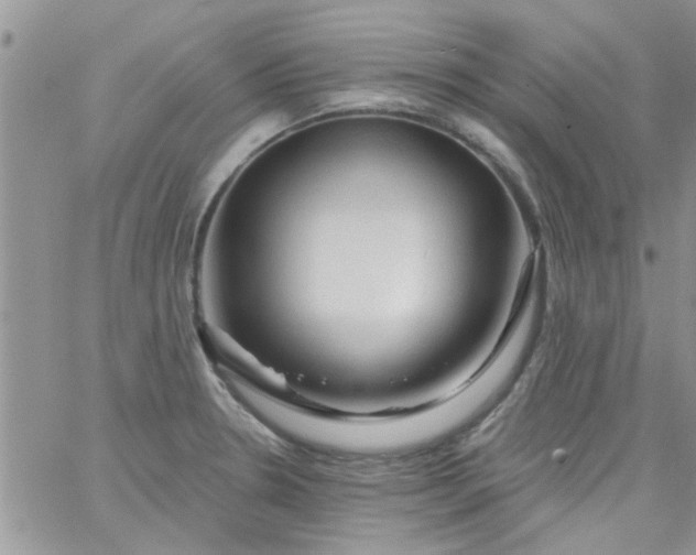 X0000065971330200603172040