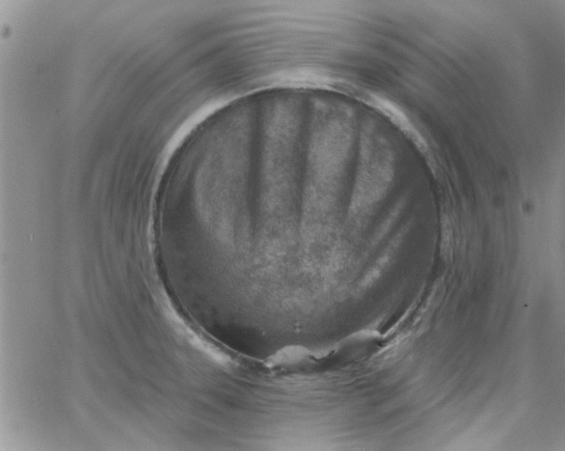 X0000065971331200603172040