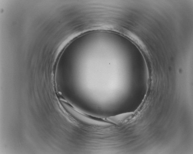 X0000065971332200603172040