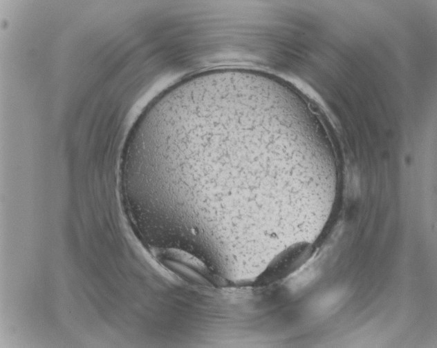 X0000065971333200603172040