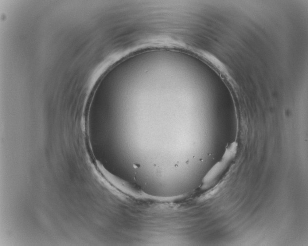 X0000065971335200603172040