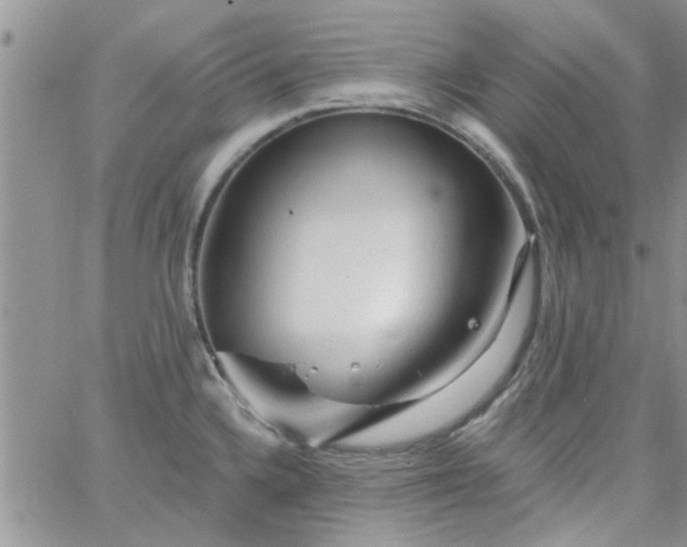 X0000065971336200603172040