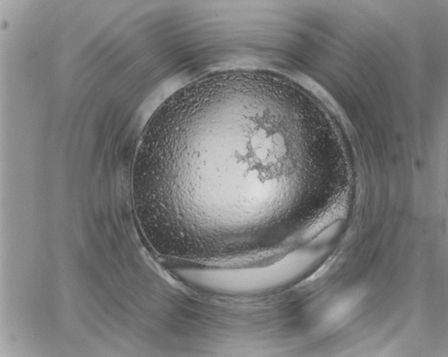 X0000065971337200603172040