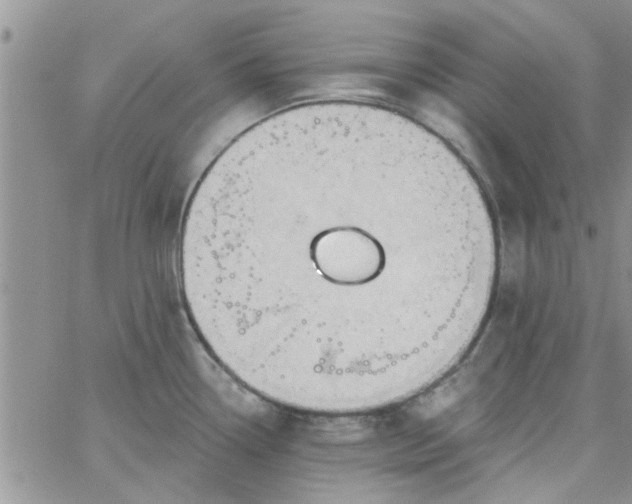 X0000065971338200603172040