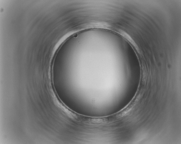 X0000065971339200603172040