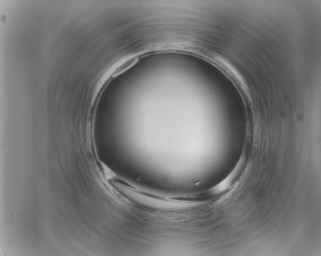 X0000065971340200603172040