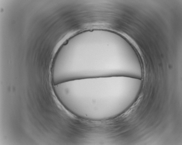 X0000065971341200603172040