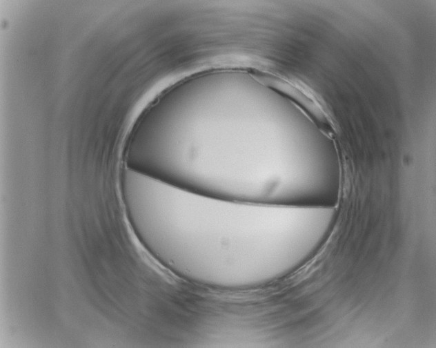 X0000065971342200603172040