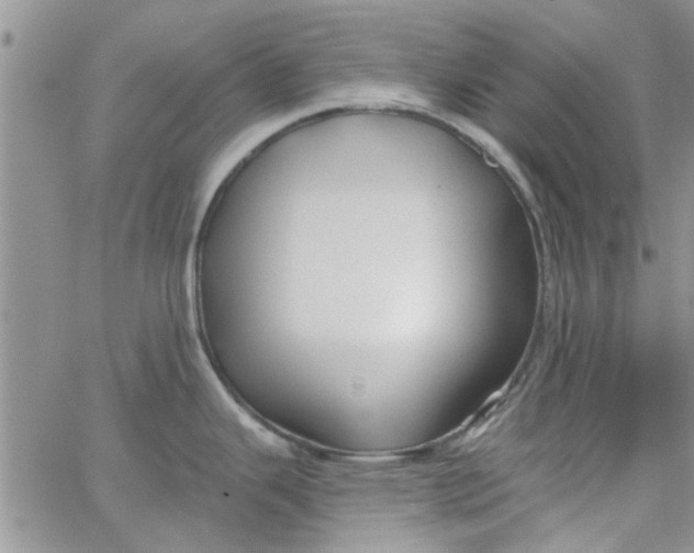 X0000065971343200603172040