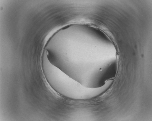 X0000065971344200603172041