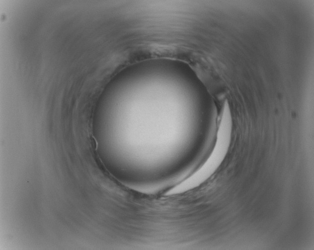 X0000065971345200603172040