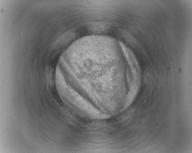 X0000065971346200603172040