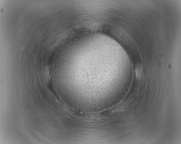 X0000065971347200603172040